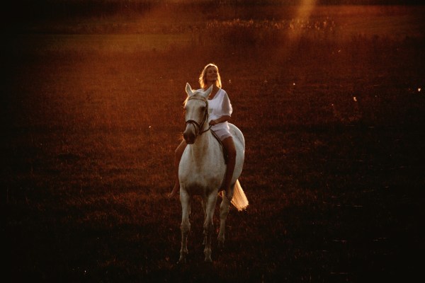 horse photography canon vsco