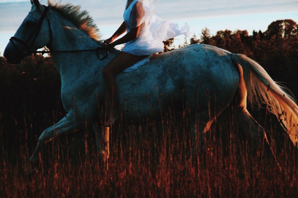 horse photography canon vsco