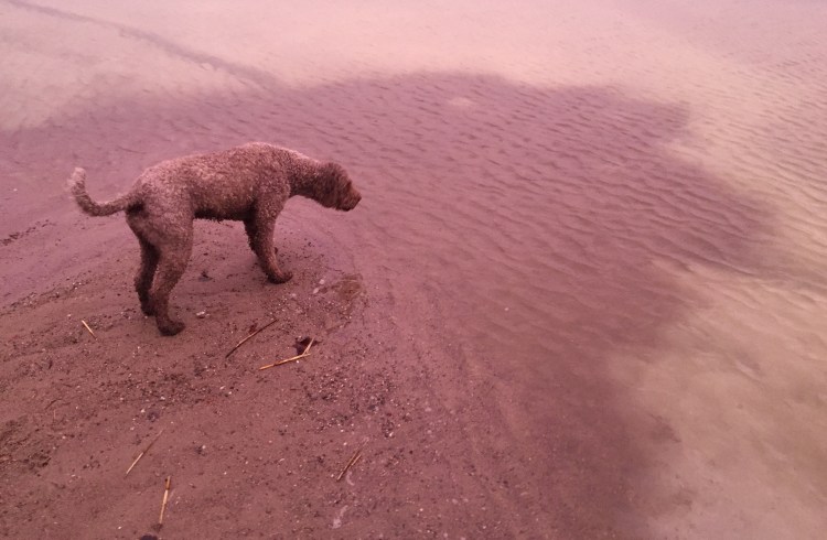 Foto 2016-01-29 15 55 50.jpg