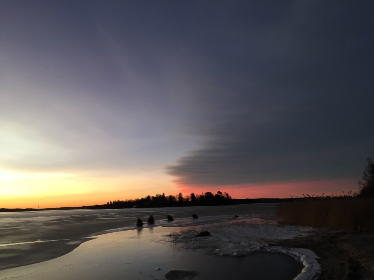 Foto 2016-02-01 07 31 45