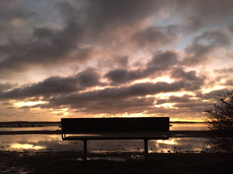 Foto 2016-02-02 07 16 51