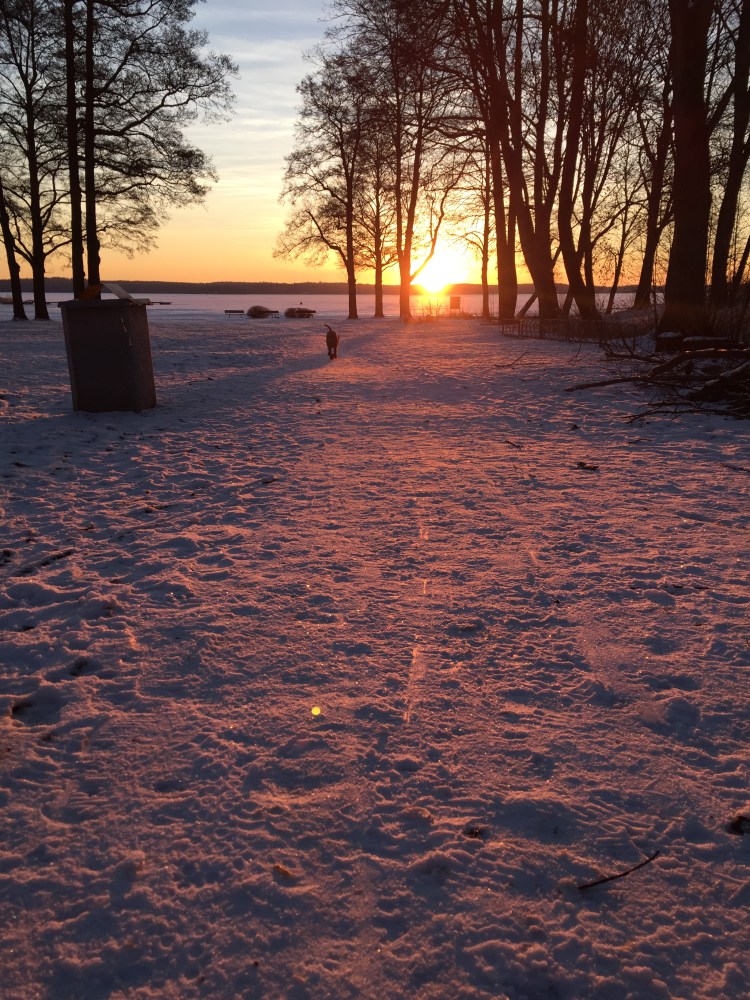 Foto 2016-02-17 07 31 11