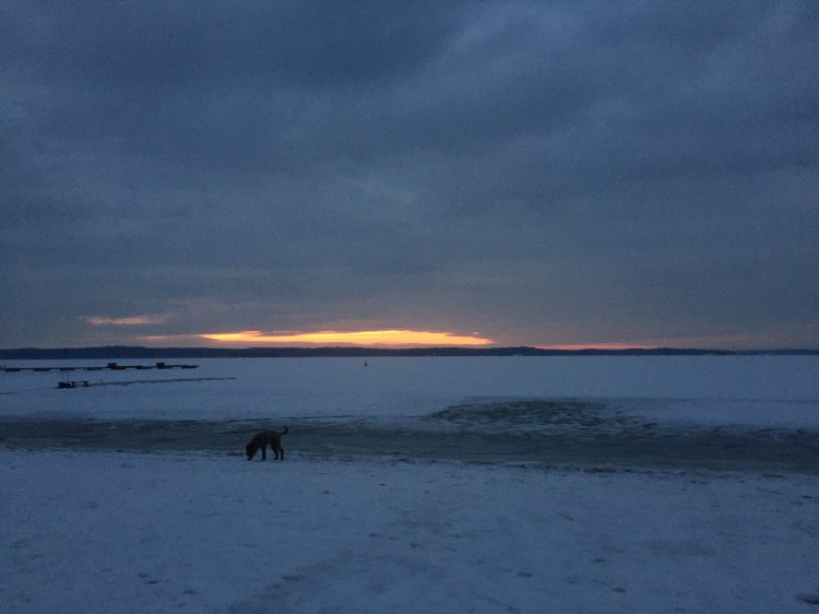 Foto 2016-02-19 06 59 32